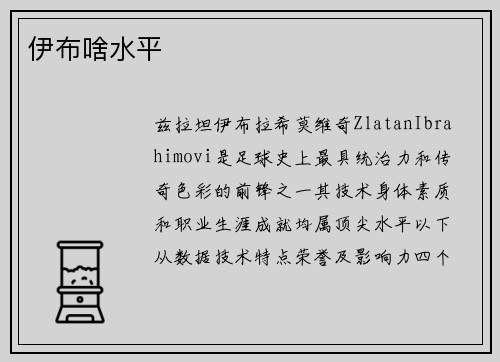 伊布啥水平